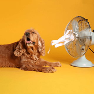 Let us handle your AC repair in Lompoc CA.